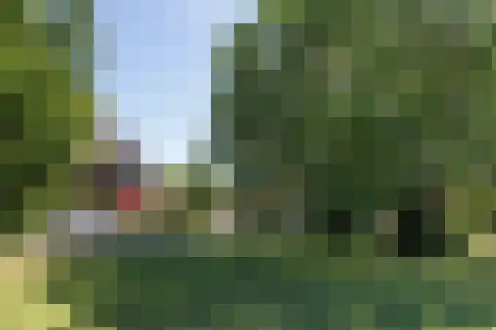 Van den Brandelerkade 17 Leiden thumbnail 49