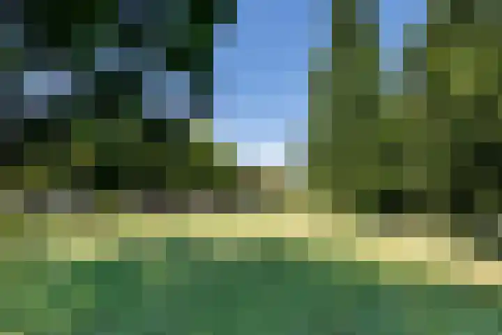 Van den Brandelerkade 17 Leiden thumbnail 51