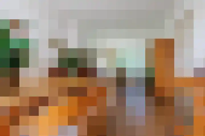 Van den Brandelerkade 17 Leiden thumbnail 6
