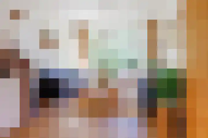 Van den Brandelerkade 17 Leiden thumbnail 9