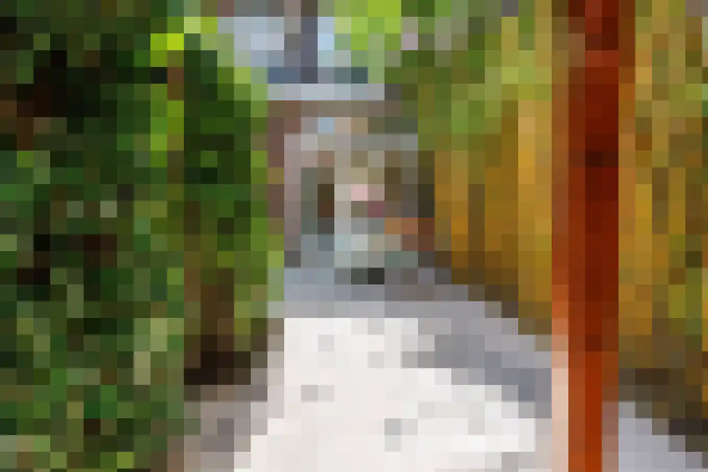 Van den Brandelerkade 19 Leiden thumbnail 21
