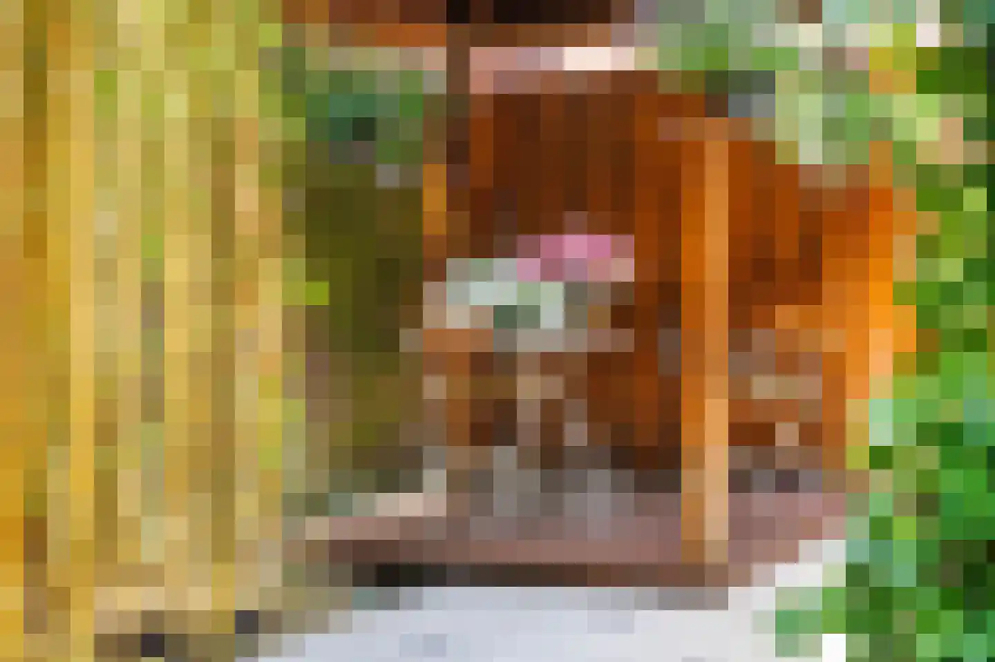 Van den Brandelerkade 19 Leiden thumbnail 25