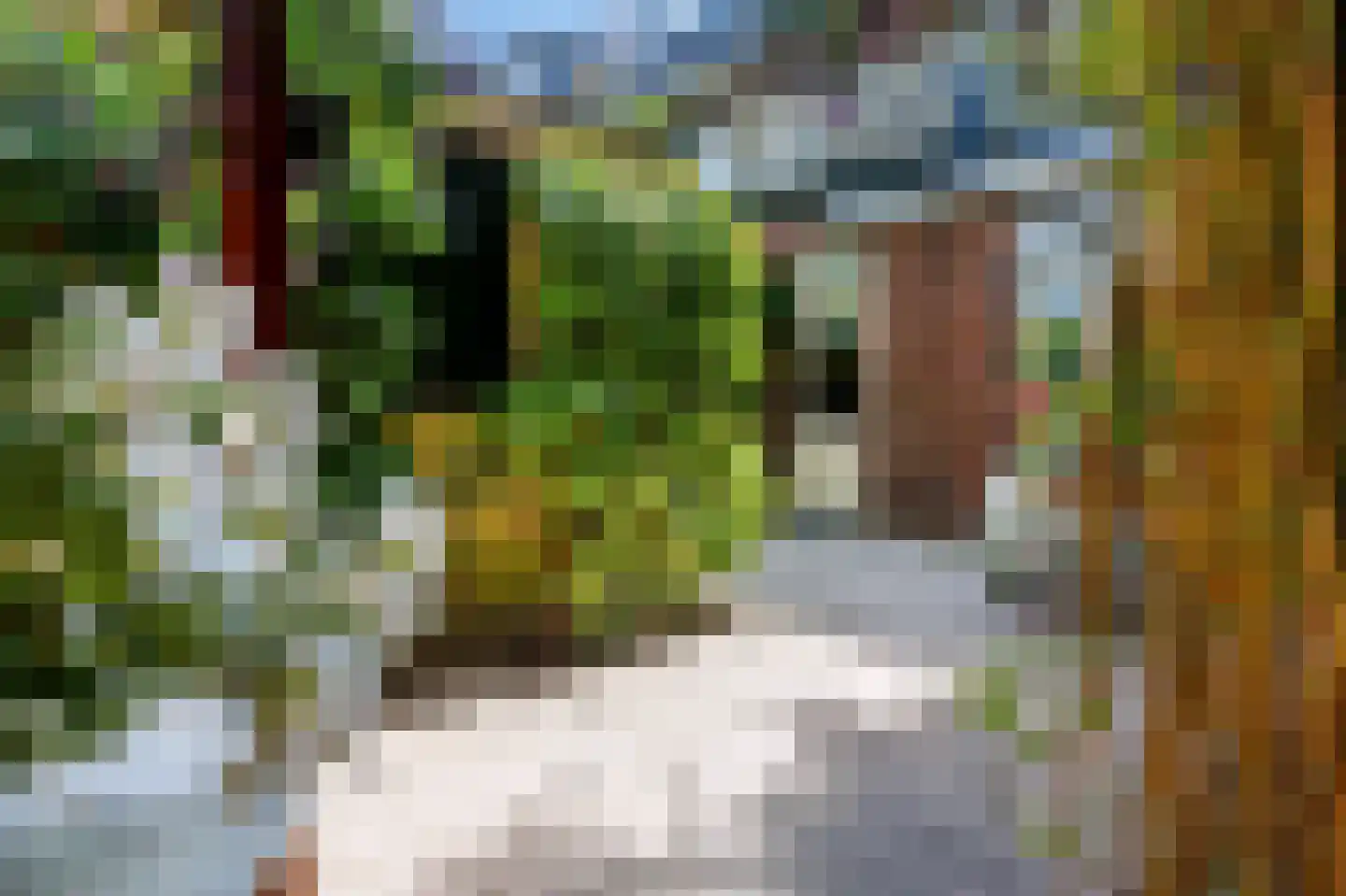 Van den Brandelerkade 19 Leiden thumbnail 26