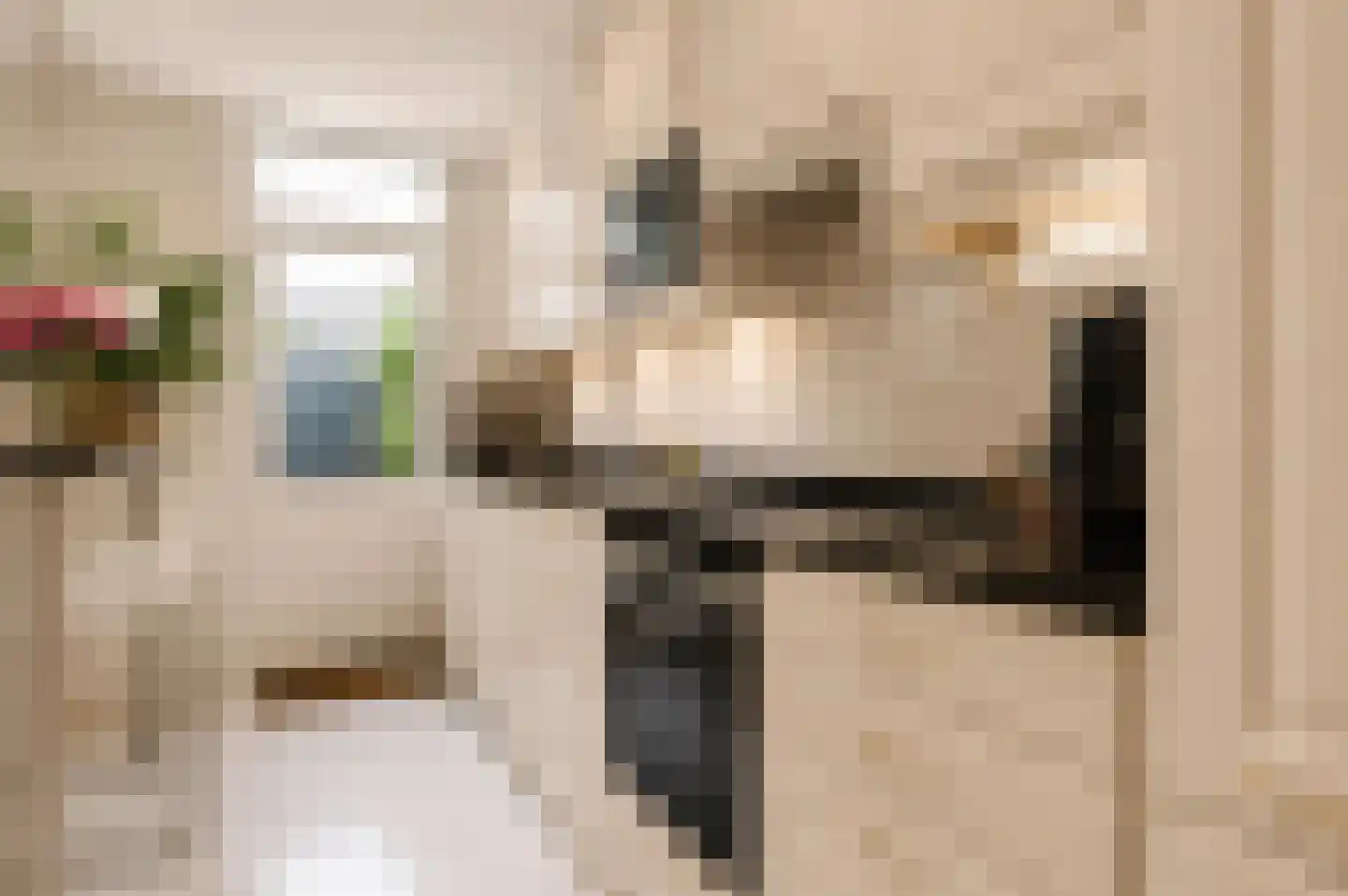 Van den Brandelerkade 19 Leiden thumbnail 31
