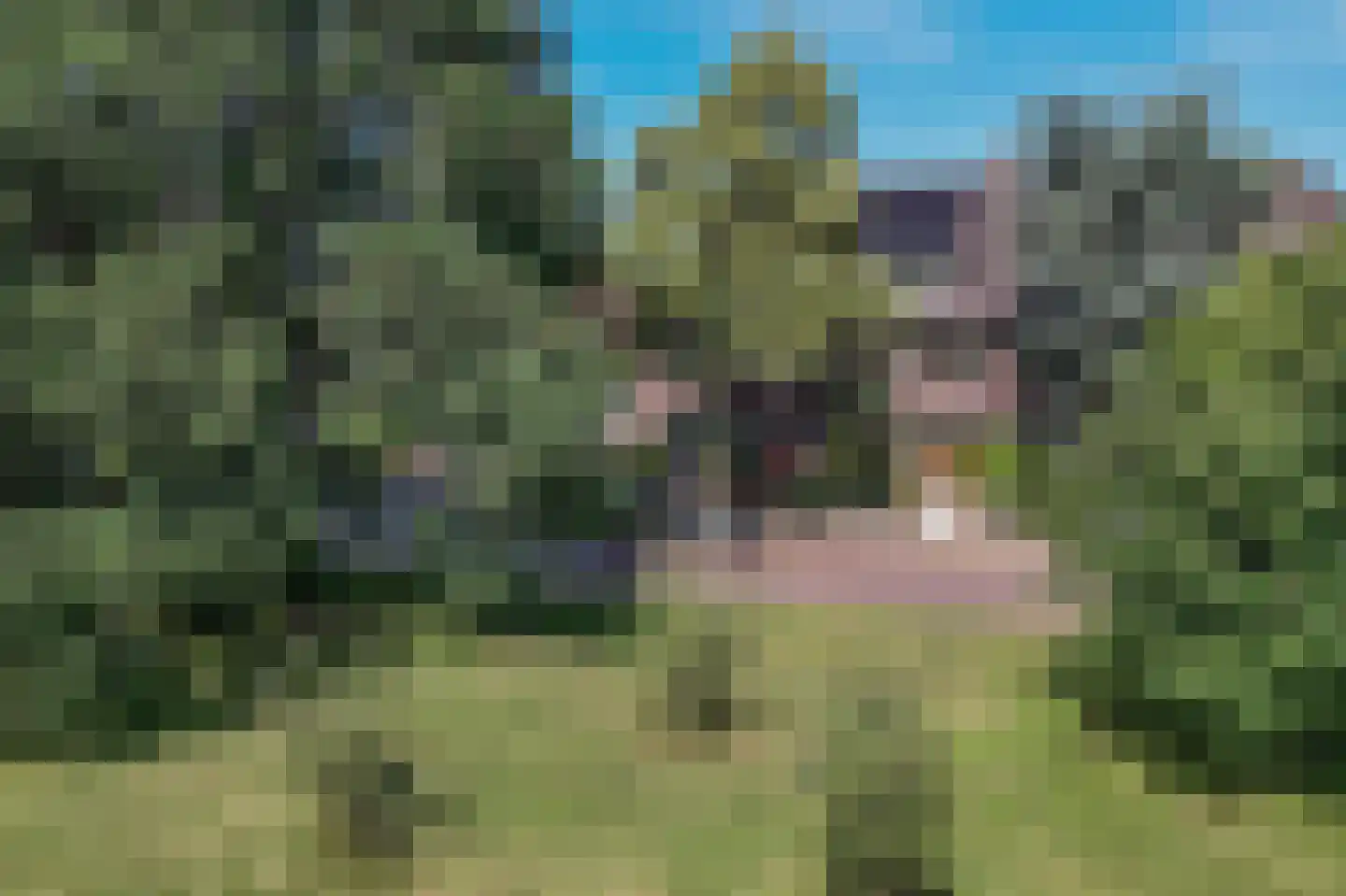 Van den Brandelerkade 19 Leiden thumbnail 4