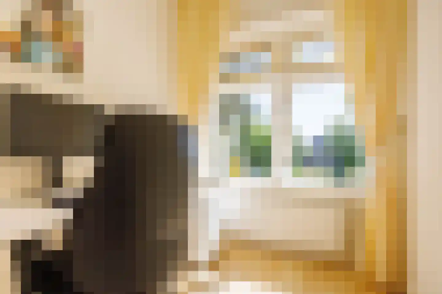 Van den Brandelerkade 19 Leiden thumbnail 42
