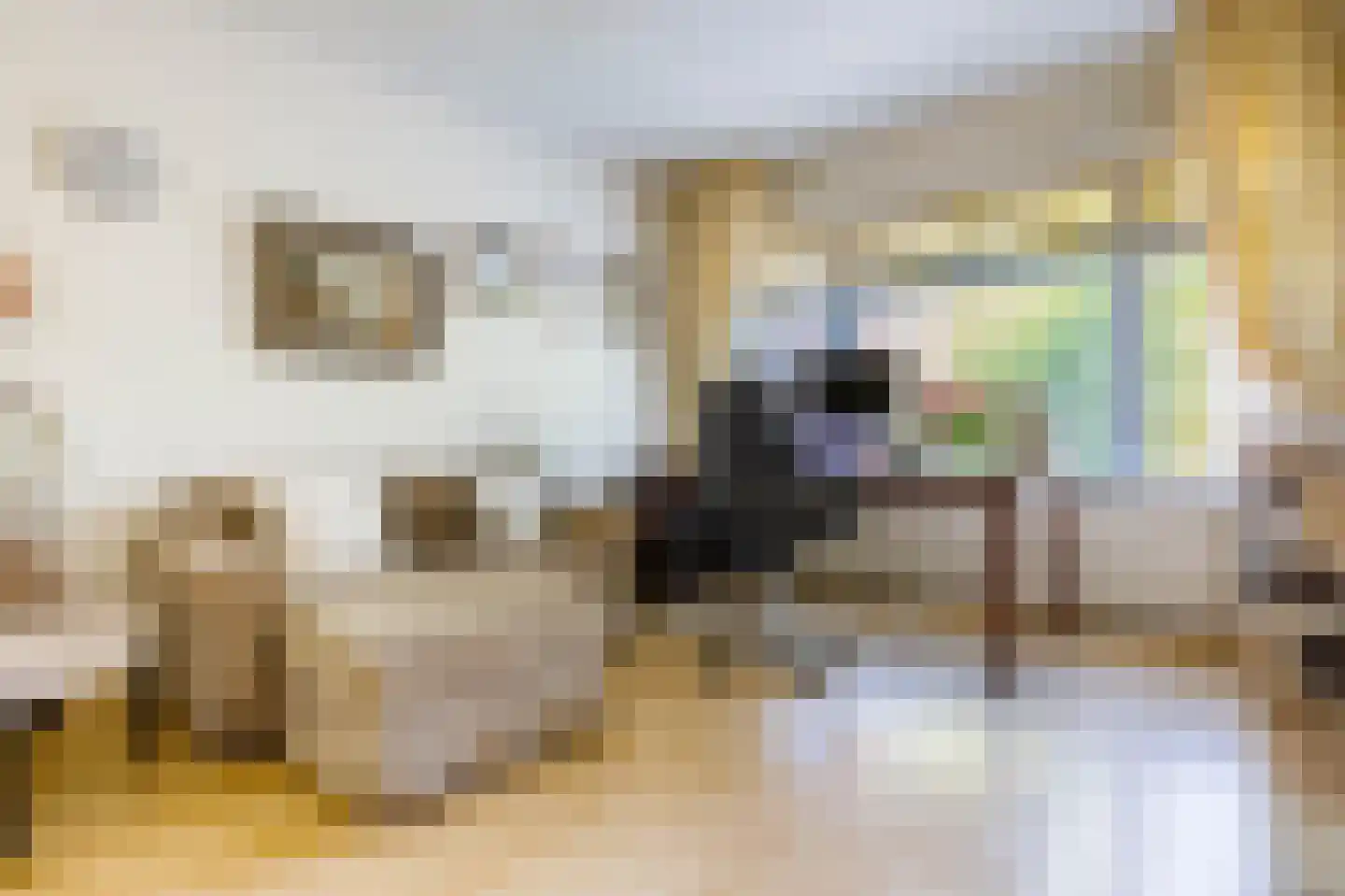 Van den Brandelerkade 19 Leiden thumbnail 46