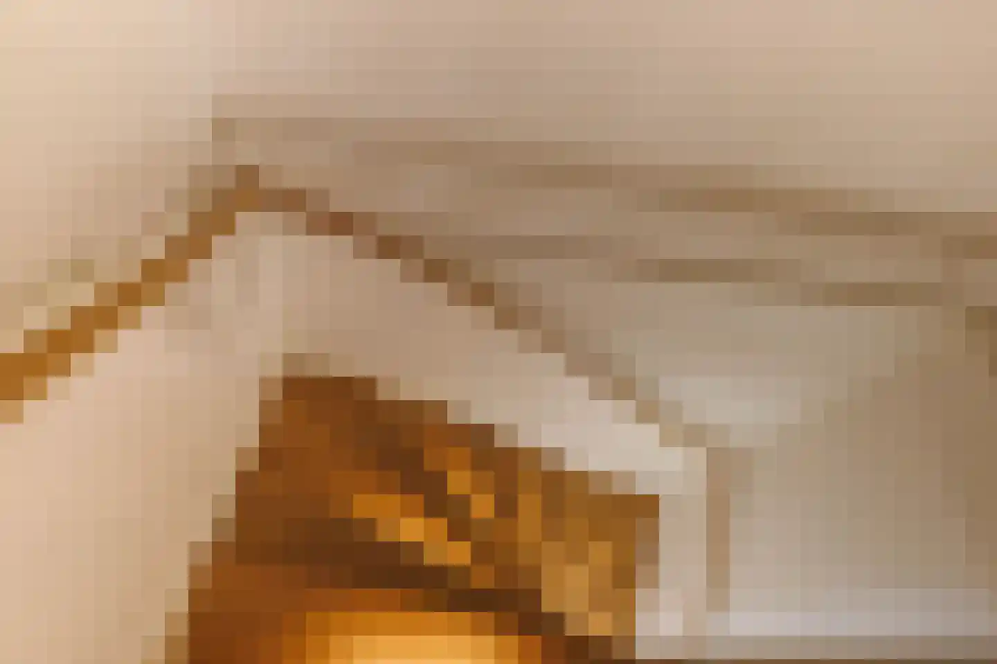 Van den Brandelerkade 19 Leiden thumbnail 51