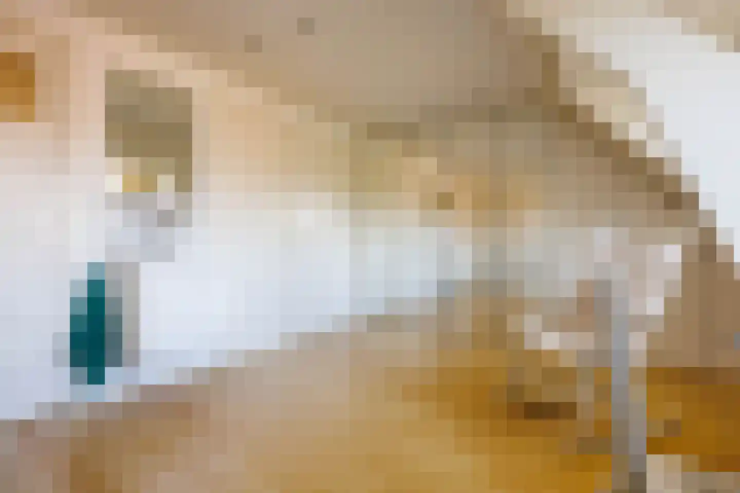 Van den Brandelerkade 19 Leiden thumbnail 54