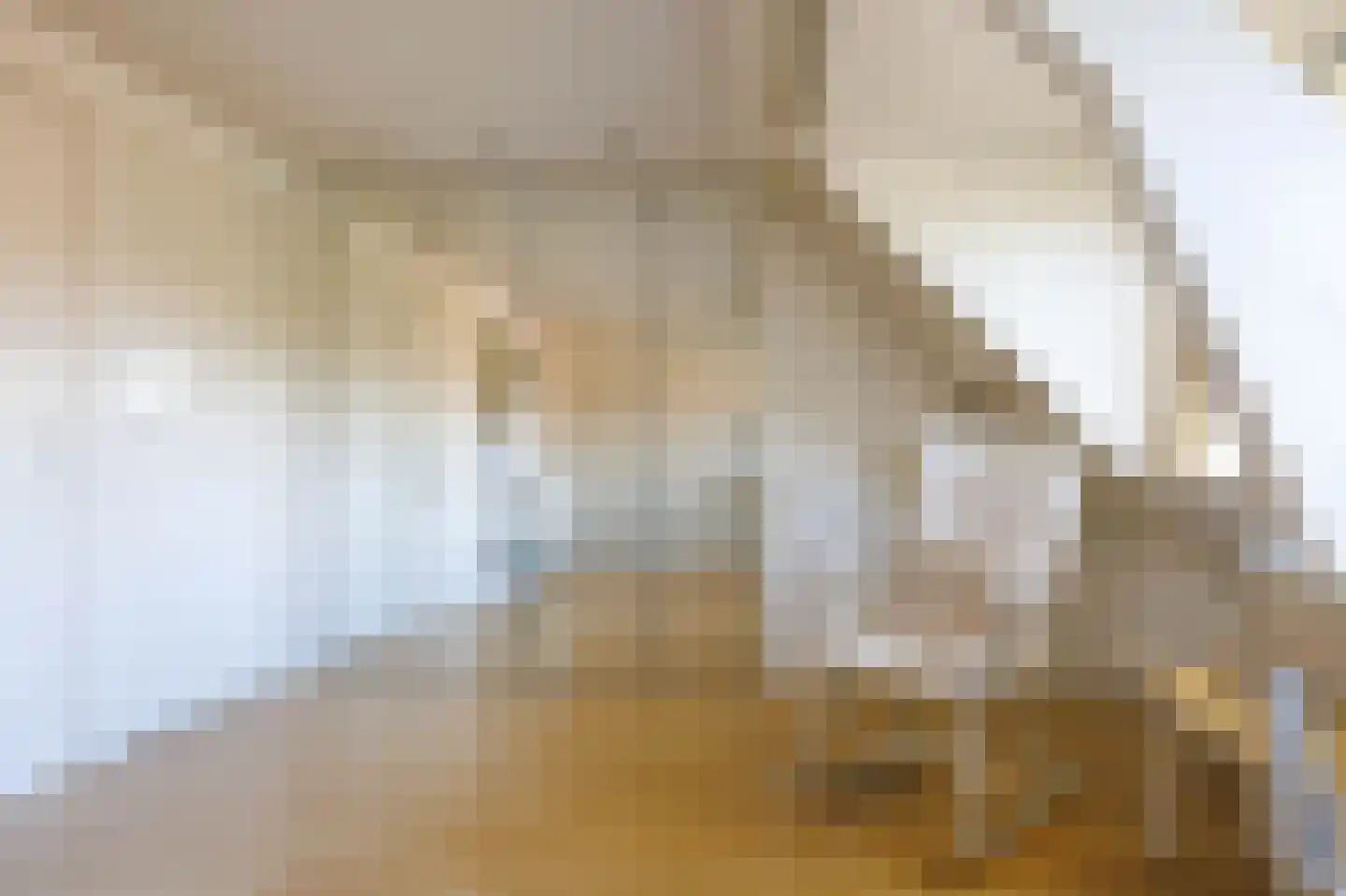 Van den Brandelerkade 19 Leiden thumbnail 55