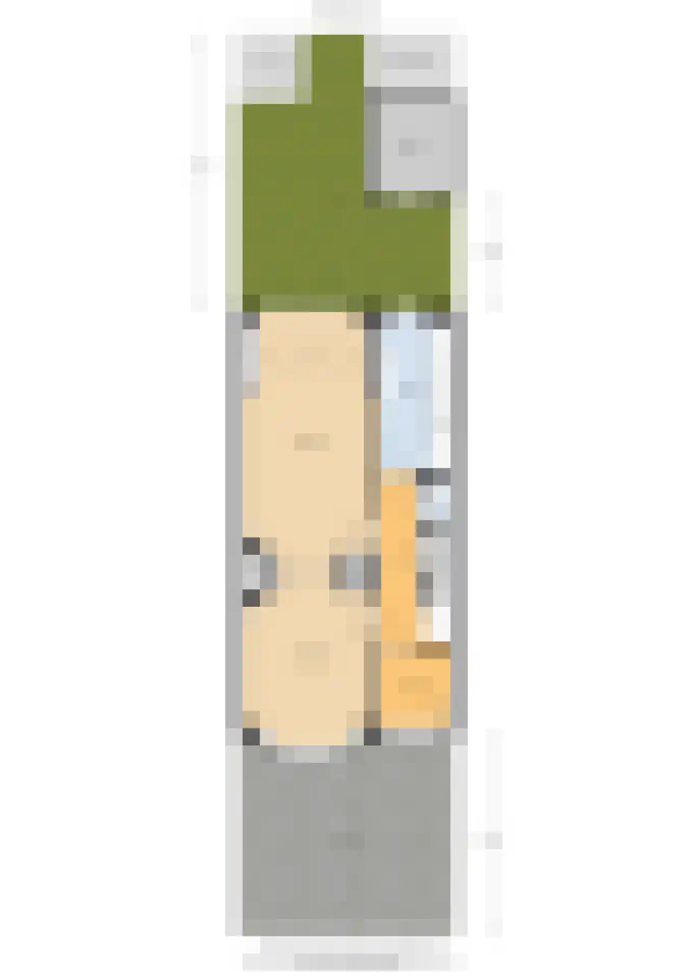 Van den Brandelerkade 19 Leiden thumbnail 68