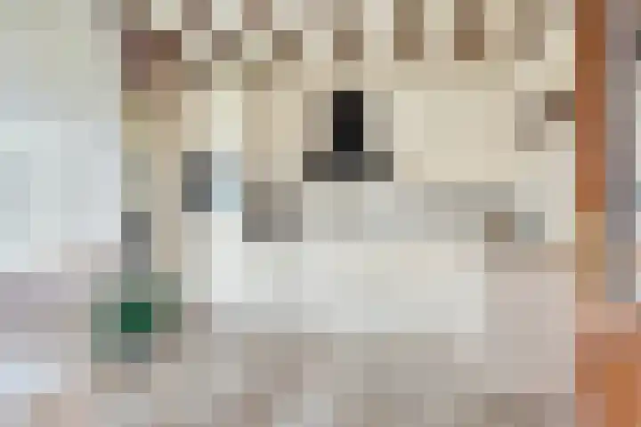 van den Broecksingel 1 Vlodrop thumbnail 11