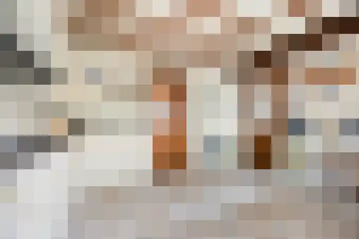 van den Broecksingel 1 Vlodrop thumbnail 12