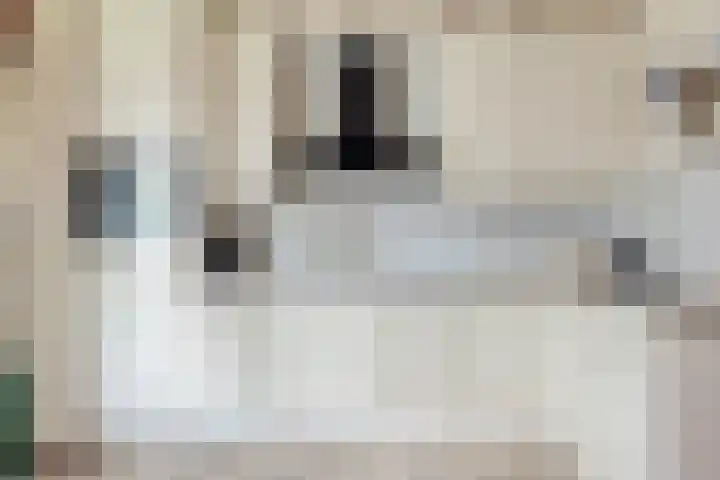 van den Broecksingel 1 Vlodrop thumbnail 13