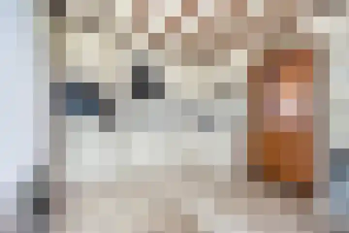 van den Broecksingel 1 Vlodrop thumbnail 14