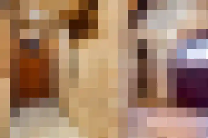 van den Broecksingel 1 Vlodrop thumbnail 15