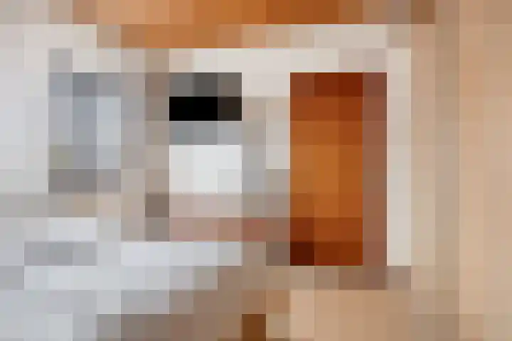 van den Broecksingel 1 Vlodrop thumbnail 18