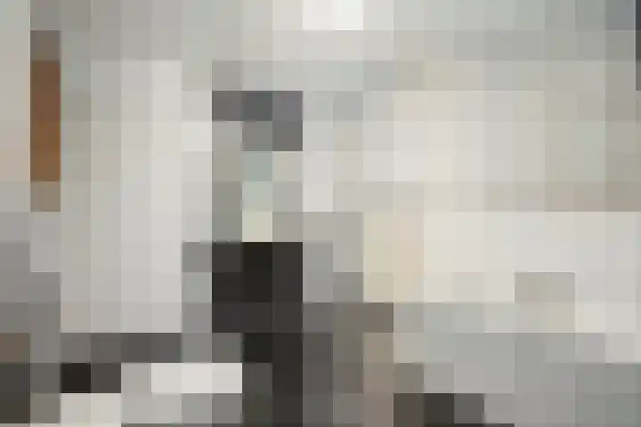 van den Broecksingel 1 Vlodrop thumbnail 20