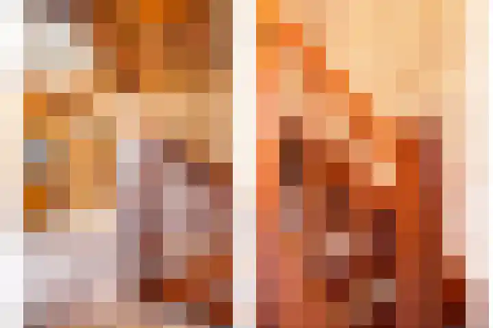 van den Broecksingel 1 Vlodrop thumbnail 21
