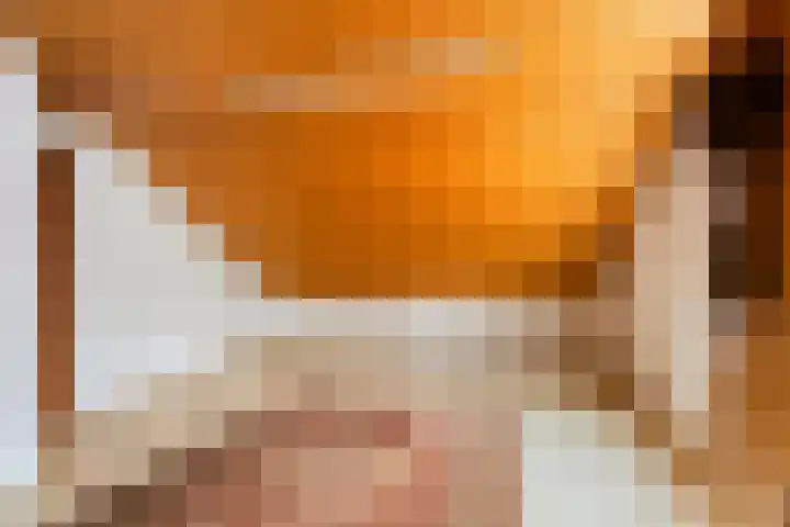 van den Broecksingel 1 Vlodrop thumbnail 24