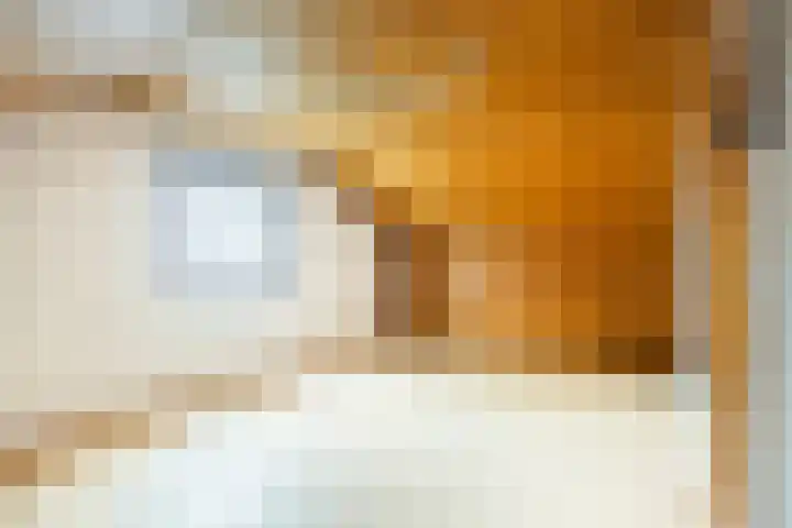 van den Broecksingel 1 Vlodrop thumbnail 26