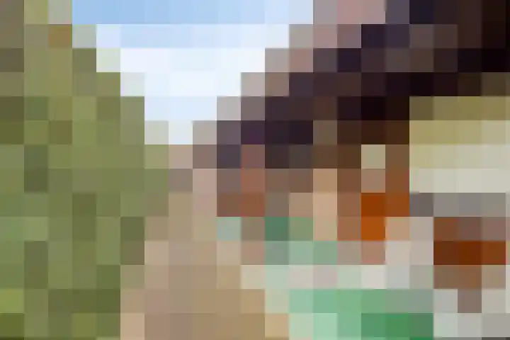 van den Broecksingel 1 Vlodrop thumbnail 27