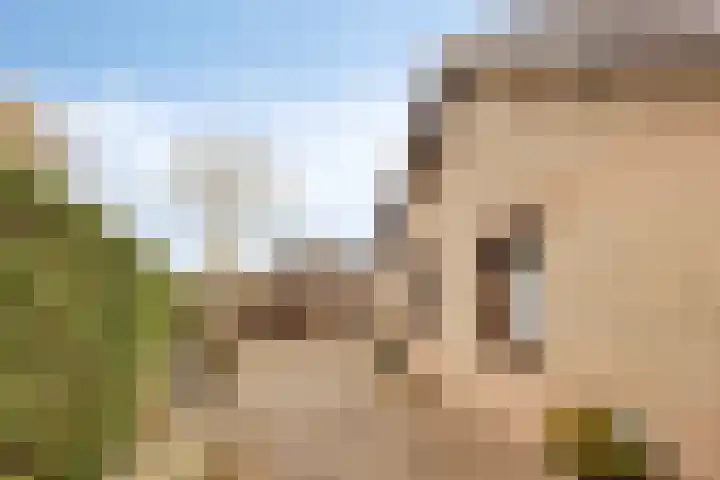 van den Broecksingel 1 Vlodrop thumbnail 28