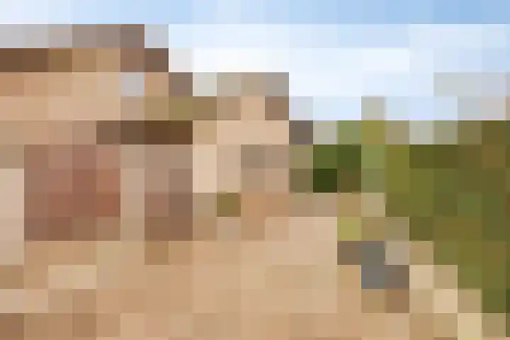 van den Broecksingel 1 Vlodrop thumbnail 29