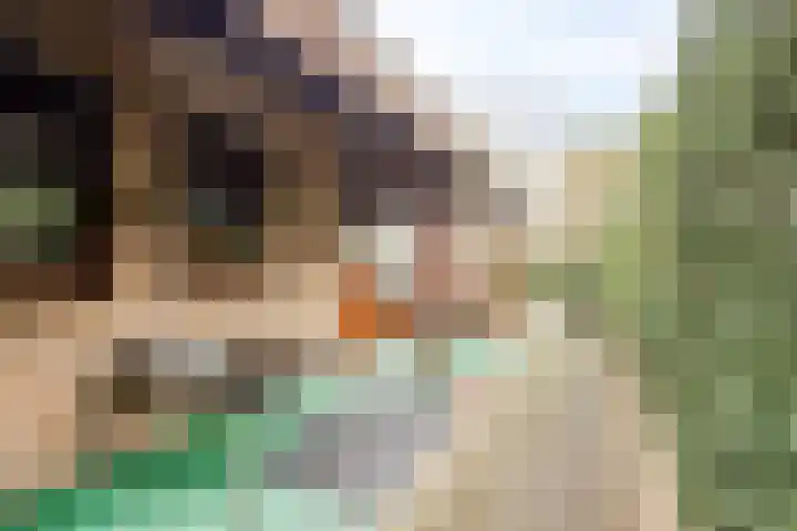 van den Broecksingel 1 Vlodrop thumbnail 31