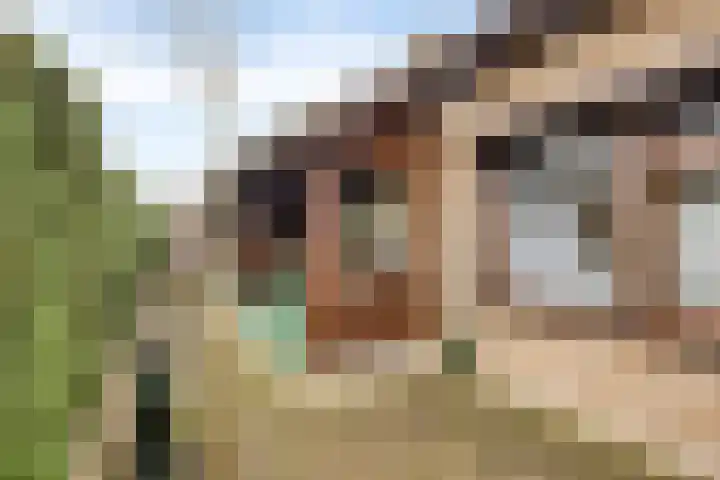 van den Broecksingel 1 Vlodrop thumbnail 32