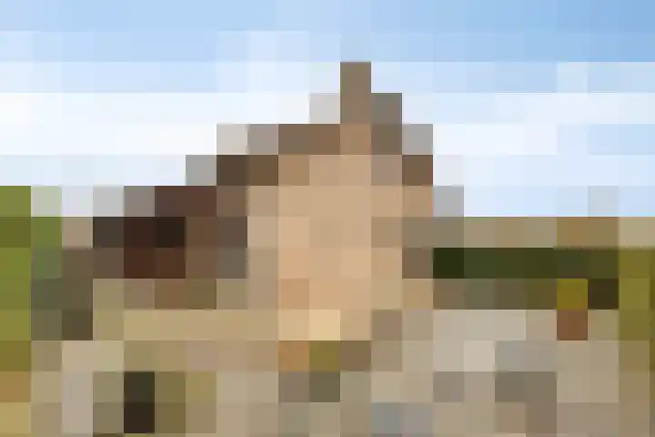 van den Broecksingel 1 Vlodrop thumbnail 33