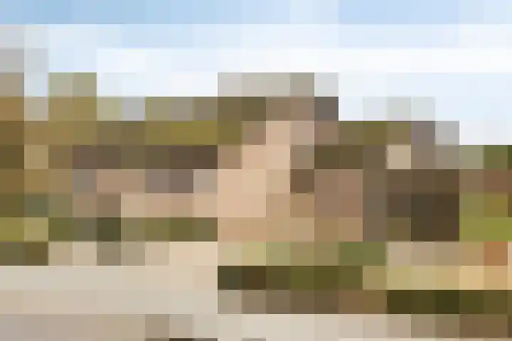 van den Broecksingel 1 Vlodrop thumbnail 35