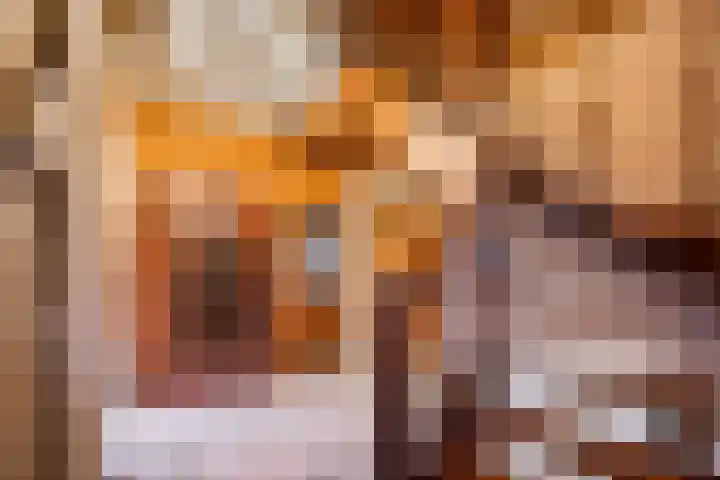 van den Broecksingel 1 Vlodrop thumbnail 4