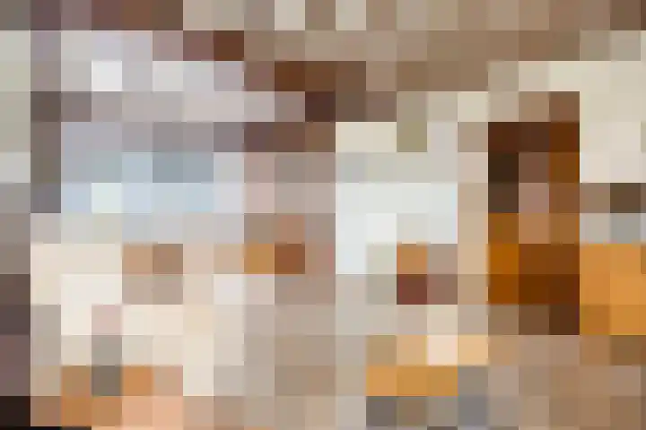 van den Broecksingel 1 Vlodrop thumbnail 6