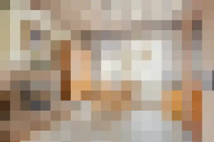 van den Broecksingel 1 Vlodrop thumbnail 8