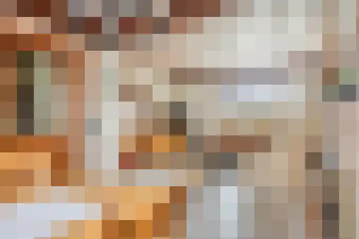 van den Broecksingel 1 Vlodrop thumbnail 9