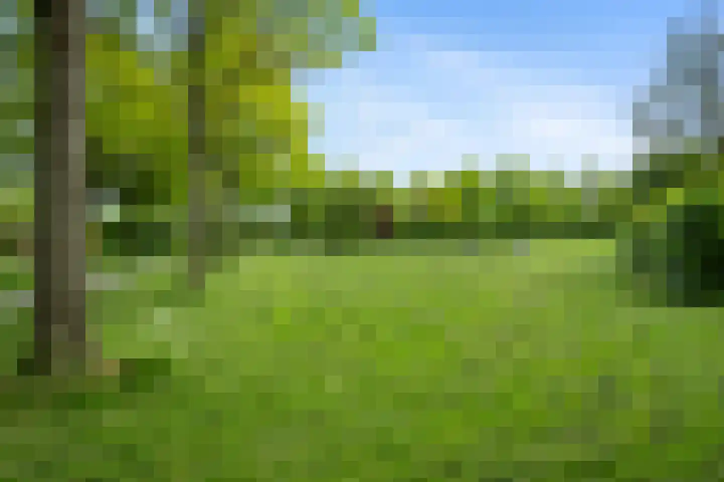 Van den Broek-erf 145 Dordrecht thumbnail 33