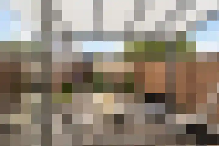 Van den Broek-erf 146 Dordrecht thumbnail 16