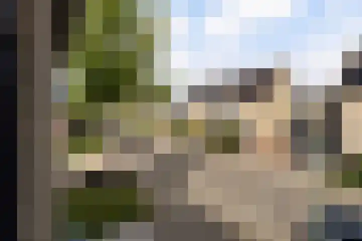 Van den Broek-erf 146 Dordrecht thumbnail 32