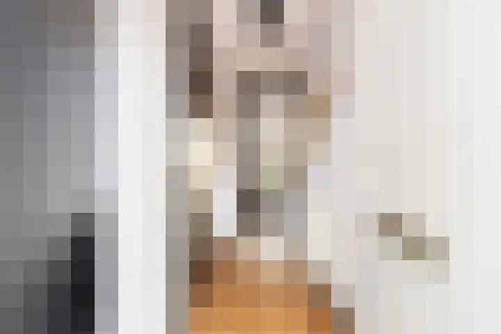 Van den Broek-erf 146 Dordrecht thumbnail 8