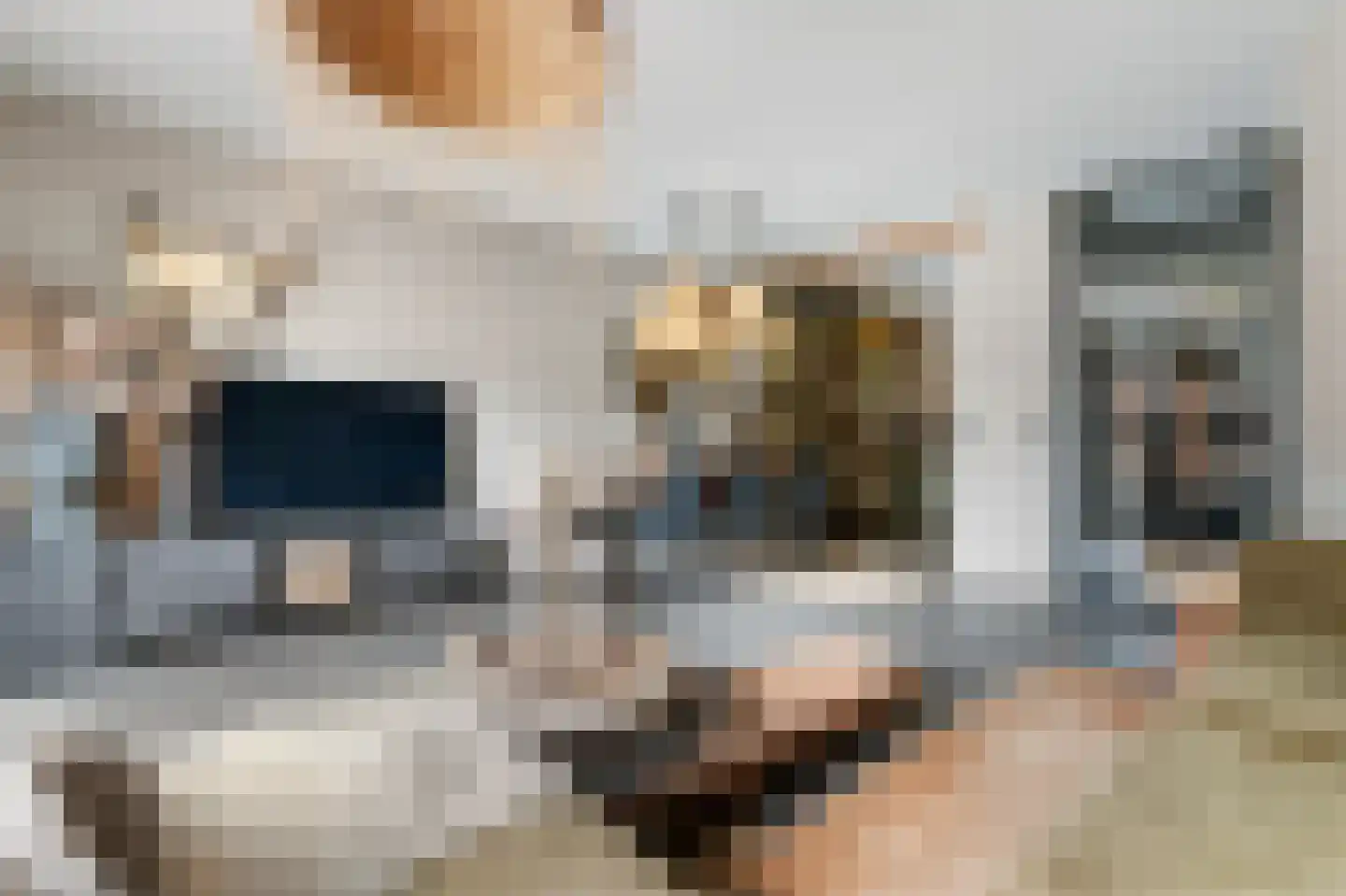 Van den Broek-erf 171 Dordrecht thumbnail 15