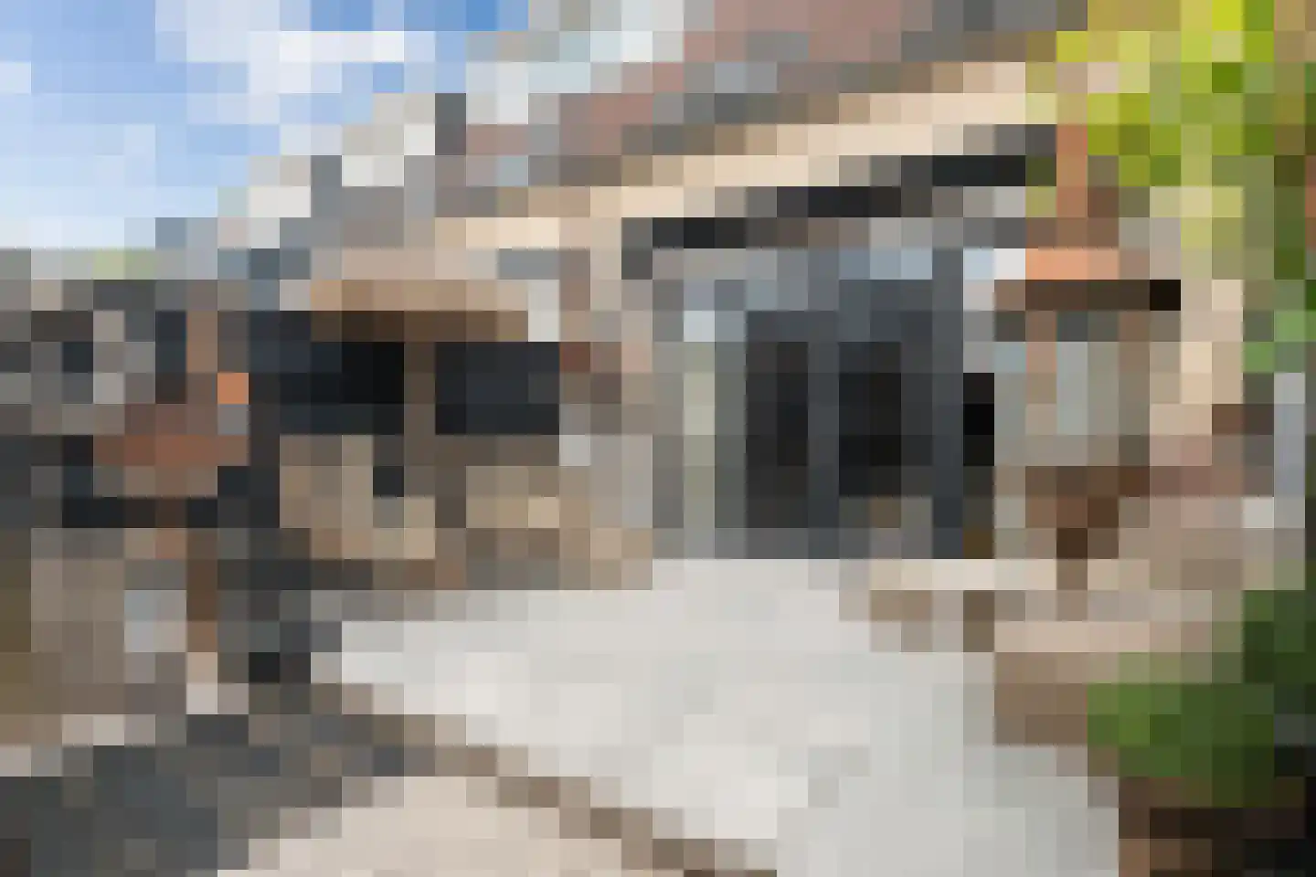 Van den Broek-erf 171 Dordrecht thumbnail 36