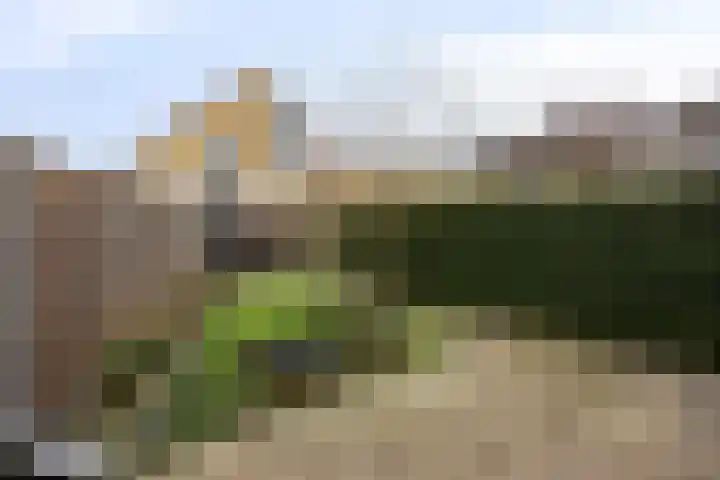 Van den Broek-erf 224 Dordrecht thumbnail 23