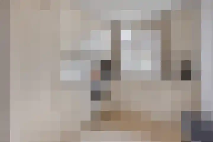 Van den Broek-erf 224 Dordrecht thumbnail 8