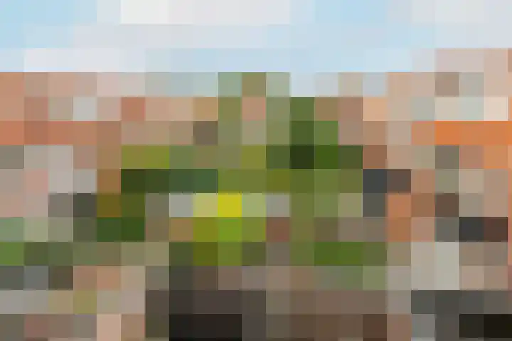 Van den Broekelaan 3 Amstelveen thumbnail 32