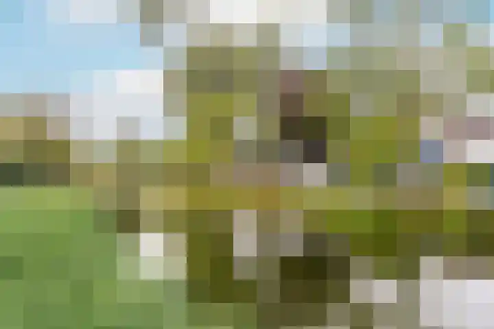 Van den Broekelaan 3 Amstelveen thumbnail 37