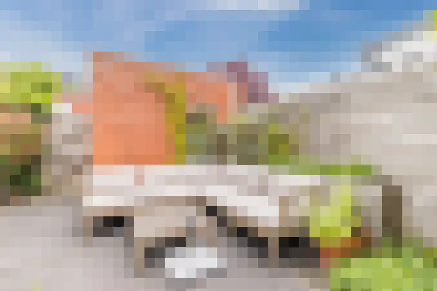 Van den Broekstraat 104 Utrecht thumbnail 14