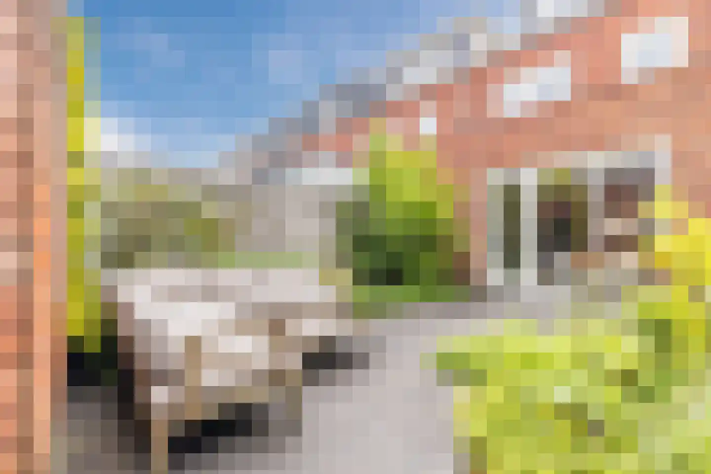 Van den Broekstraat 104 Utrecht thumbnail 19