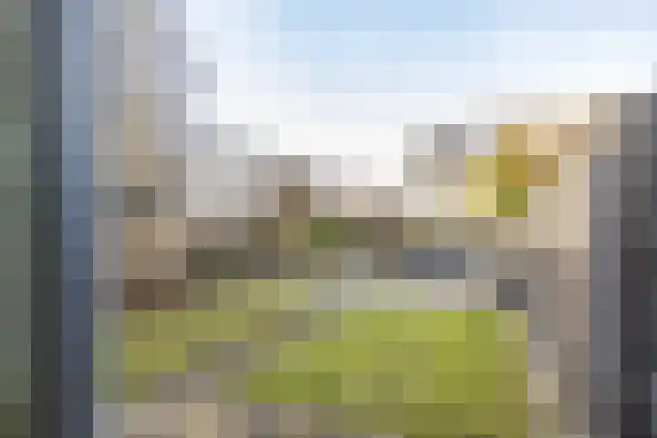 Van den Broekstraat 2 Groningen thumbnail 34