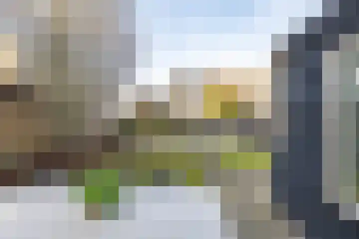 Van den Broekstraat 2 Groningen thumbnail 35